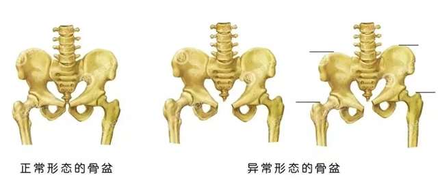 微信图片_20230106142801_(1).jpg